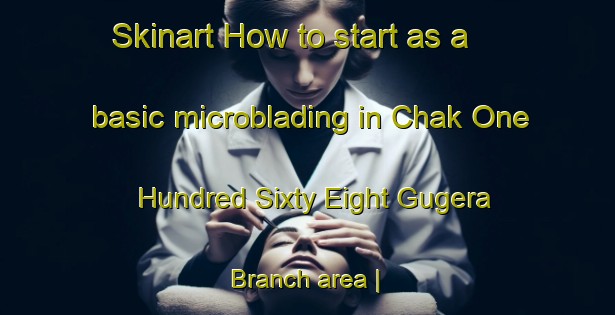 Skinart How to start as a basic microblading in Chak One Hundred Sixty Eight Gugera Branch area | MicrobladingTraining | MicrobladingClasses | SkinartTraining-Pakistan